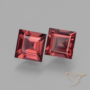 1.48 ct natürliche Rosaig-rot Rhodolith-Granat-Edelsteine, Quadrat, VS