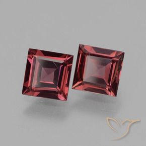 1.41 ct natürliche Merlot Rot Rhodolith-Granat-Edelsteine, Quadrat, VS