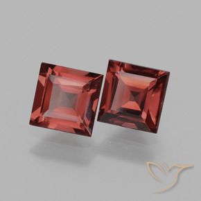 1.62 ct natürliche tiefrot Rhodolith-Granat-Edelsteine, Quadrat, VS
