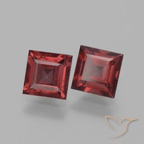 1.53 ct natürliche tiefrot Rhodolith-Granat-Edelsteine, Quadrat, VS