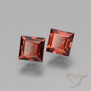 1.39 ct natürliche tiefrot Rhodolith-Granat-Edelsteine, Quadrat, VS