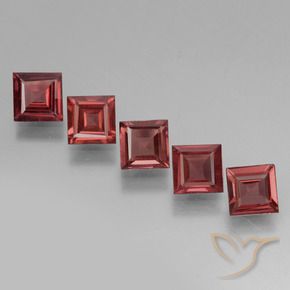 3.22 ct natürliche Merlot Rot Rhodolith-Granat-Edelsteine, Quadrat, VS
