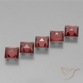 3.22 ct natürliche Merlot Rot Rhodolith-Granat-Edelsteine, Quadrat, VS