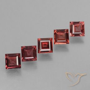 2.90 ct natürliche Merlot Rot Rhodolith-Granat-Edelsteine, Quadrat, VS