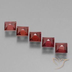 2.90 ct natürliche Merlot Rot Rhodolith-Granat-Edelsteine, Quadrat, VS