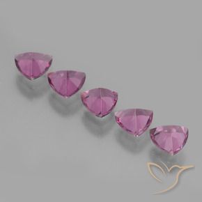 2.59 ct natürliche Mittelviolett Rhodolith-Granat-Edelsteine, Trillion, VS