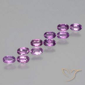 2.67 ct natürliche Mittel-Dunkelviolett Rhodolith-Granat-Edelsteine, Oval, VS