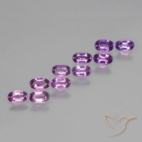 2.73 ct natürliche violett-lila Rhodolith-Granat-Edelsteine, Oval, VS
