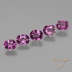 2.41 ct natürliche tieflila Rhodolith-Granat-Edelsteine, Oval, VS