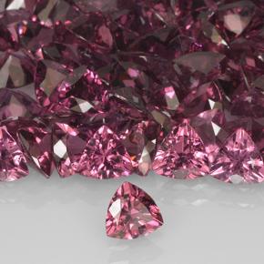 1,01 ct natürliche roter Rhodolith-Edelsteine, Trillion, VS