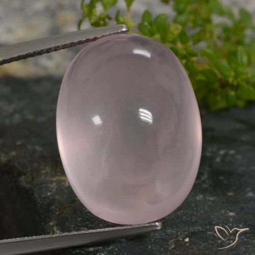 27.49ct Natürlicher hellrose-rosa Rosenquarz, Oval, Lichtdurchlässig