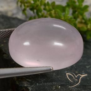 9,17 ctw natürlicher Korallenrosa Rosenquarz, Oval, Lichtdurchlässig