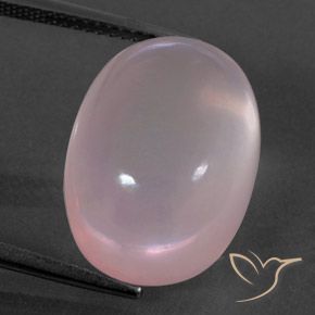 18.97ct Natürlicher hellrose-rosa Rosenquarz, Oval, Transparent / Lichtdurchlässig