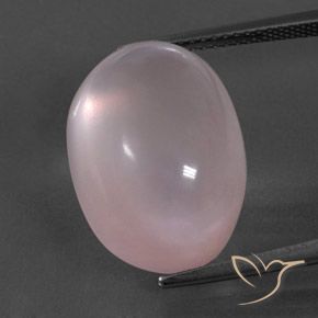 19.49ct Natürlicher hellrosa Rosenquarz, Oval, Transparent