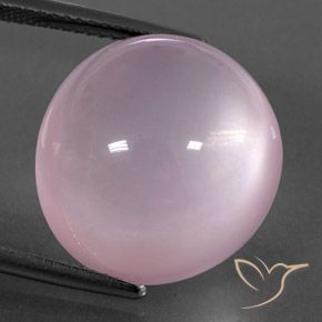24.80ct Natürlicher hellrosa Rosenquarz, Oval, Transparent / Lichtdurchlässig