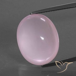 15.78ct Natürlicher Kaugummi Rosa Rosenquarz, Oval, Transparent