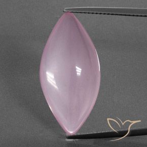 16.11ct Natürlicher rose-rosa Rosenquarz, Marquise, Transparent