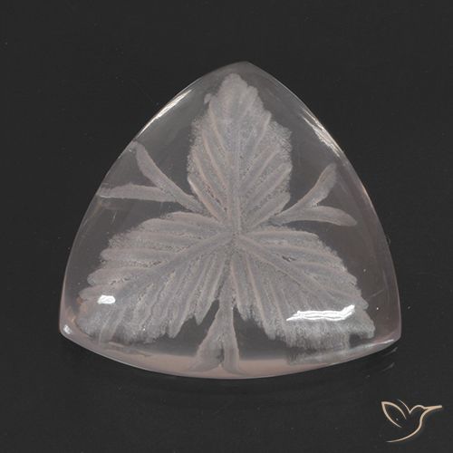 10.38ct Natürlicher Farblos Rosenquarz, Trillion, Transparent
