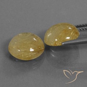 8.46 ct natürliche Mittleres Gold Rutilquarz-Edelsteine, Runden, Transparent