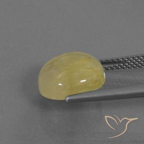 9,17 ctw natürlicher Mittleres Gold Rutilquarz, Runden, Lichtdurchlässig