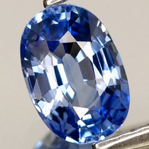 0,79 ctw natürlicher blauer Saphir, Oval Schliff, VVS-VS
