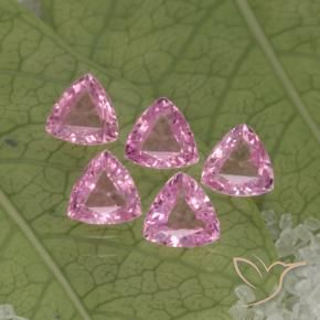 1,30 ct natürliche rosafarbener Saphir-Edelsteine, Trillion, VVS-VS