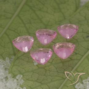 1,30 ct natürliche rosafarbener Saphir-Edelsteine, Trillion, VVS-VS