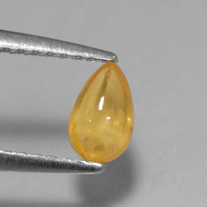 0,59 ctw natürlicher gelber Saphir, Transparent, Transparent / Lichtdurchlässig