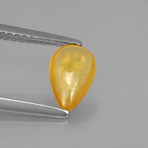 0,92 ctw natürlicher Gold Saphir, Transparent, Transparent / Lichtdurchlässig