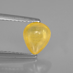 1,22 ctw natürlicher gelber Saphir, Transparent, Transparent / Lichtdurchlässig