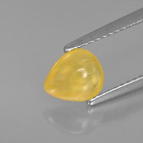 1,22 ctw natürlicher gelber Saphir, Transparent, Transparent / Lichtdurchlässig