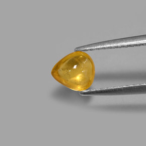 0,80 ctw natürlicher gelber Saphir, Transparent, Transparent / Lichtdurchlässig