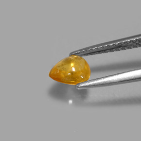 0,80 ctw natürlicher gelber Saphir, Transparent, Transparent / Lichtdurchlässig
