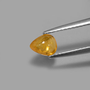 0,75 ctw natürlicher gelber Saphir, Transparent, Transparent / Lichtdurchlässig