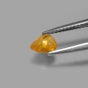 0,75 ctw natürlicher gelber Saphir, Transparent, Transparent / Lichtdurchlässig