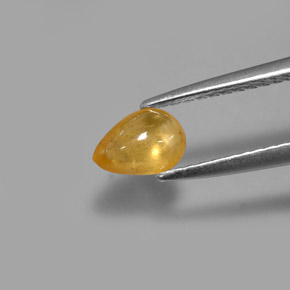 0,68 ctw natürlicher gelber Saphir, Transparent, Transparent / Lichtdurchlässig
