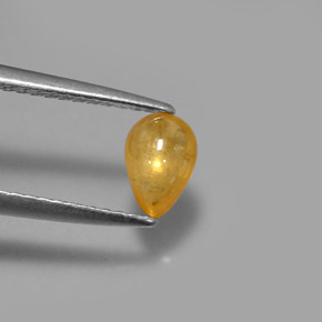 0,68 ctw natürlicher gelber Saphir, Transparent, Transparent / Lichtdurchlässig