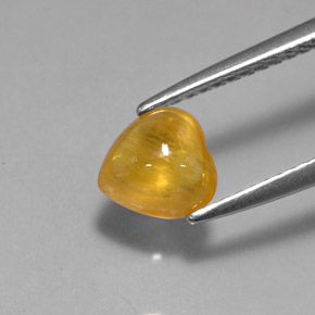 1,41 ctw natürlicher gelber Saphir, Transparent, Transparent / Lichtdurchlässig