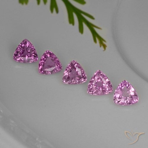 1,44 ct natürliche purpurfarbener Saphir-Edelsteine, Trillion, VVS-VS