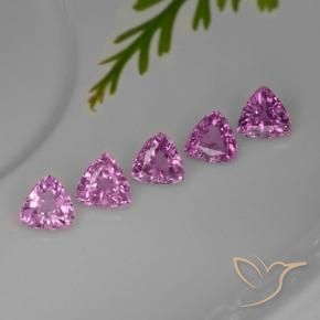 1,44 ct natürliche purpurfarbener Saphir-Edelsteine, Trillion, VVS-VS