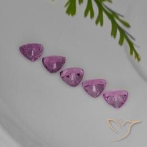 1,44 ct natürliche purpurfarbener Saphir-Edelsteine, Trillion, VVS-VS