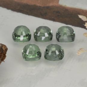 3,66 ct natürliche grüner Saphir-Edelsteine, Kissenschliff, VVS-VS