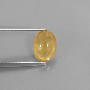 1,74 ctw natürlicher Gold Saphir, Transparent, Transparent / Lichtdurchlässig