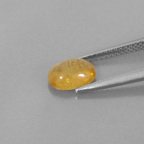 1,74 ctw natürlicher Gold Saphir, Transparent, Transparent / Lichtdurchlässig
