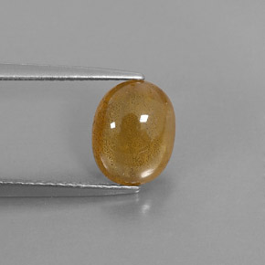 2,72 ctw natürlicher Gold Saphir, Transparent, Transparent / Lichtdurchlässig