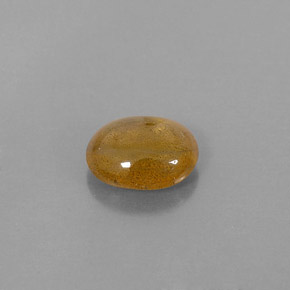 2,72 ctw natürlicher Gold Saphir, Transparent, Transparent / Lichtdurchlässig
