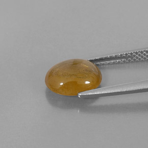 2,72 ctw natürlicher Gold Saphir, Transparent, Transparent / Lichtdurchlässig