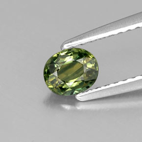 0,51 ctw natürlicher grüner Saphir, Oval Schliff, VS