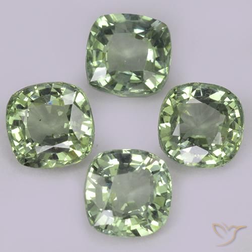 1.53 ct natürliche Helles Salbeigrün Saphir-Edelsteine, Kissen, VVS-VS