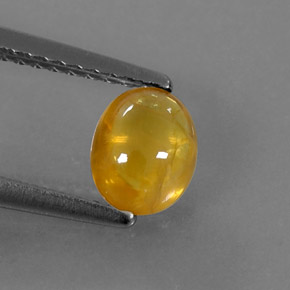 0,97 ctw natürlicher gelber Saphir, Transparent, Transparent / Lichtdurchlässig